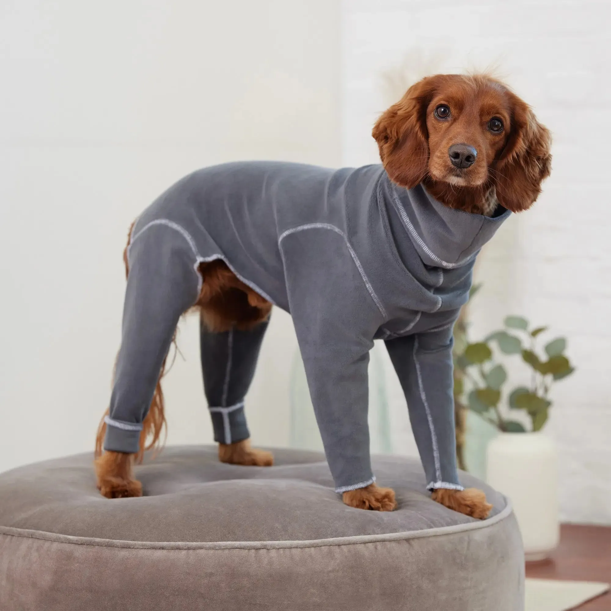 Gondola Dog Onesie | Charcoal