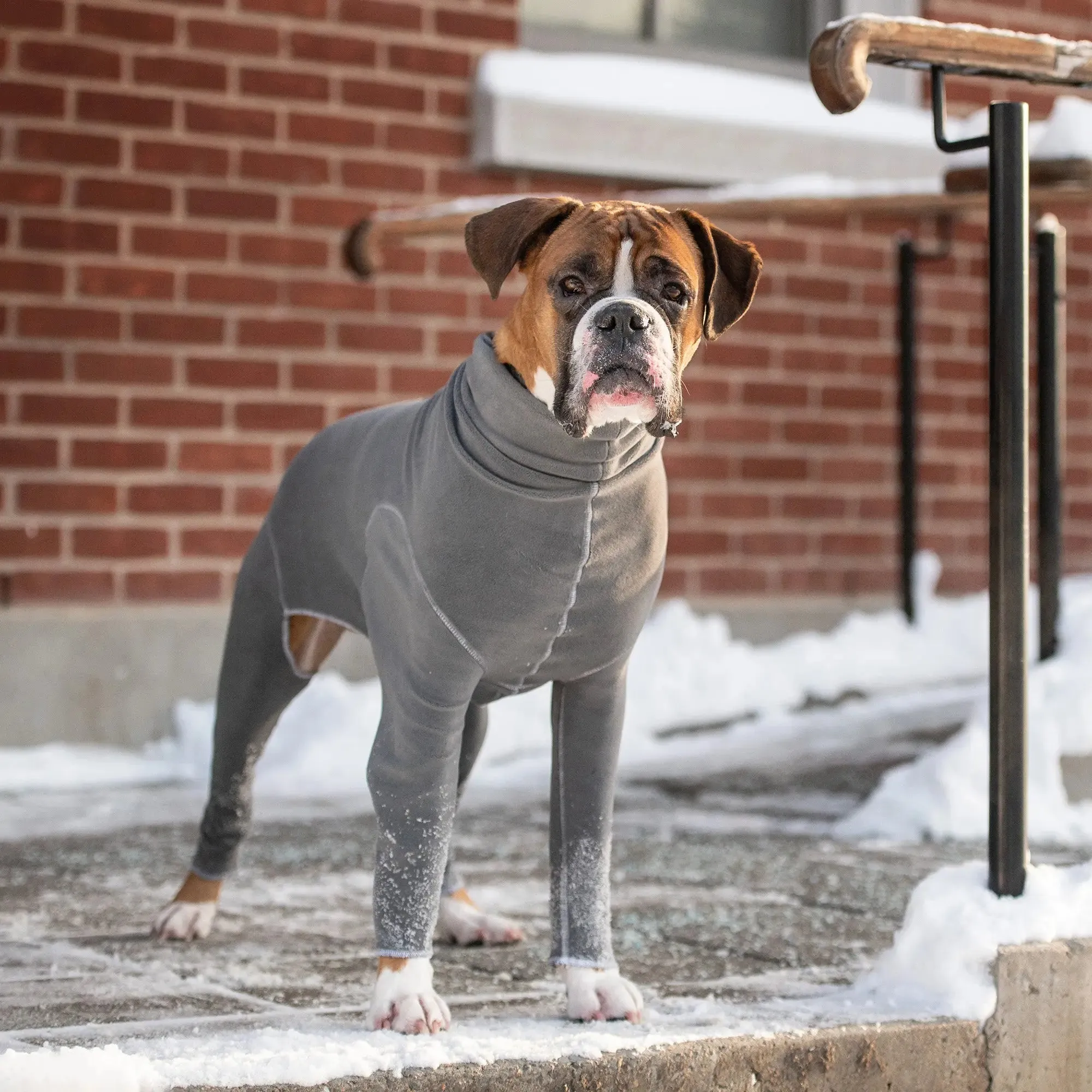 Gondola Dog Onesie | Charcoal