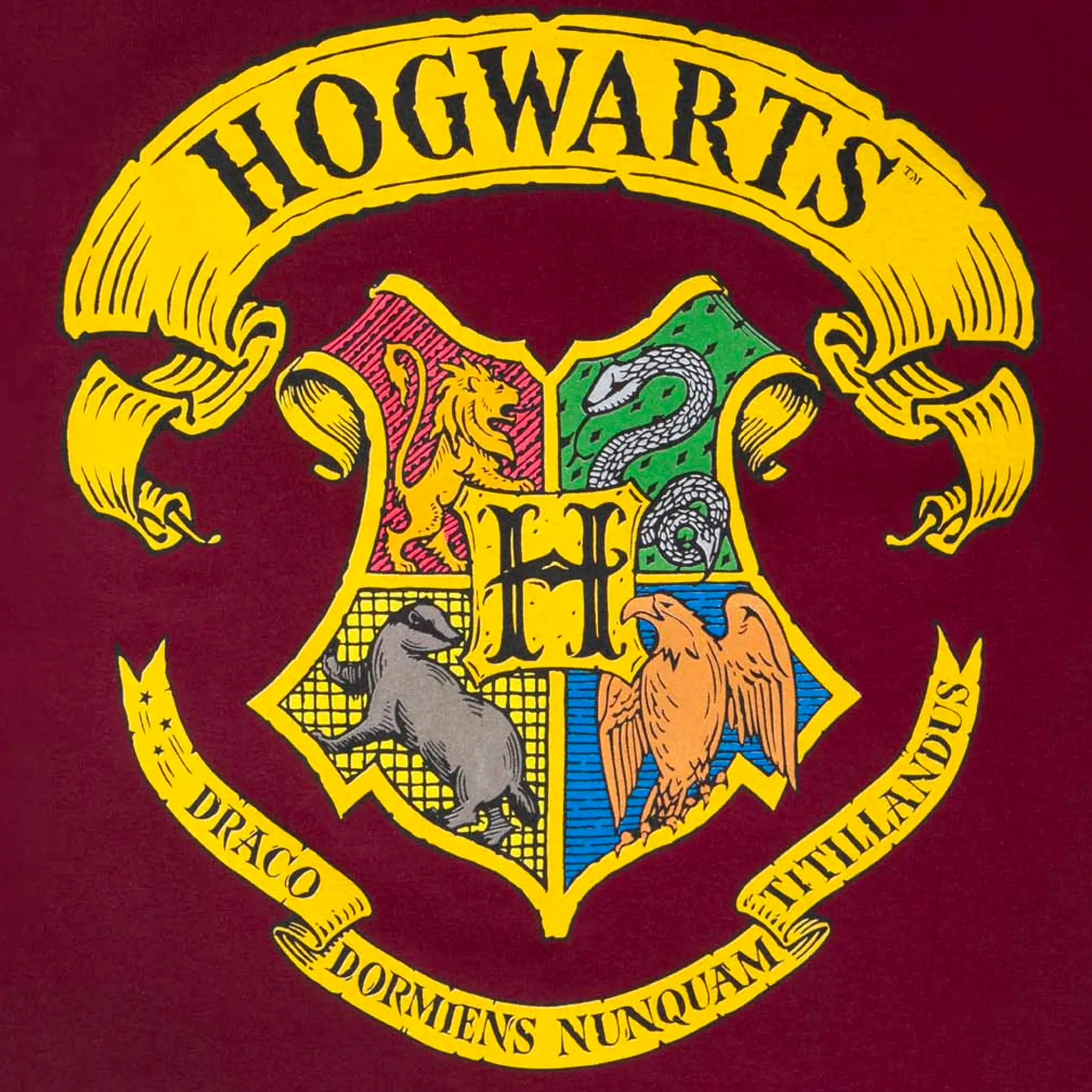 Hogwarts Tee (Burgundy)